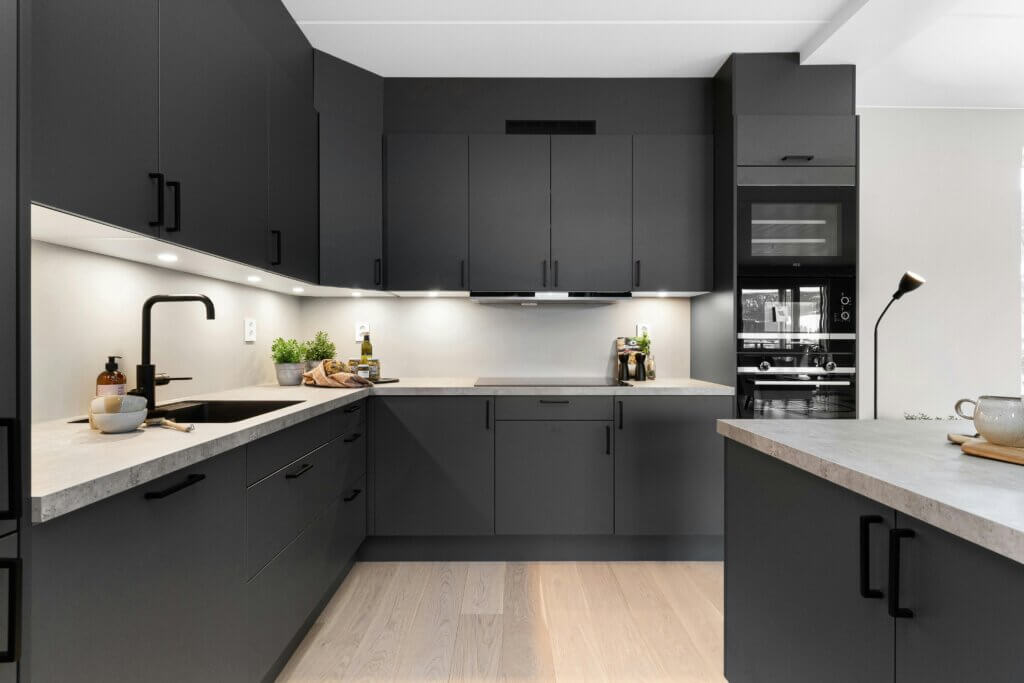 Minimalist Monochrome black kitchen