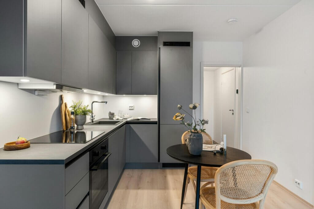 modern grey kitchen with handle-less cabinets and quartz countertop